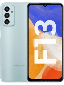 Samsung Galaxy F13